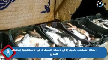 أسعار السمك.. تحديث يومي لأسعار الأسماك في الإسماعيلية بمختلف الأنواع